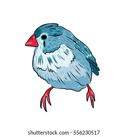 vector illustration of a cute sparrow in blue and red colors. EPS