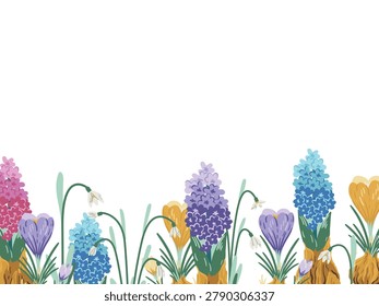 Vector illustration of a cute spring floral bottom border frame with colorful hyacinths, crocuses with bulbs, and white snowdrops. Beautiful botanical background template with blank copy space on a white background for greeting cards, banners, or invitations.