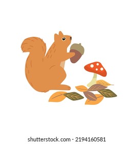 Vector illustration of a cute squirrel holding an acorn