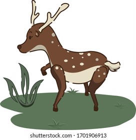 vector illustration cute stag, cute animal