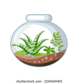 Vector illustration, Cute terrarium in a glass jar, isolated on white background.