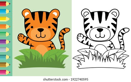 Vector illustration of cute tiger appearing from bush while raising hand. Coloring book or page