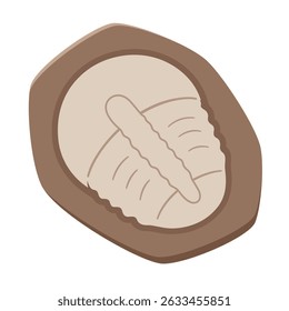 Vector illustration of a cute trilobite fossil
