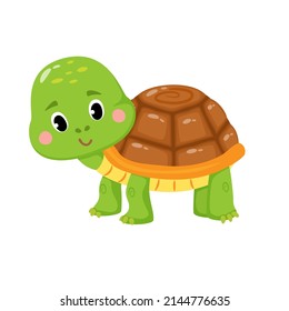 Vector illustration of cute Turtle on white background