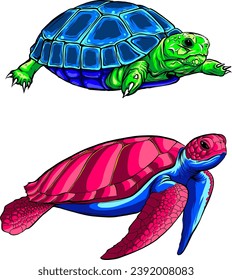 vector illustration of cute turtle set on white background. digital hand draw