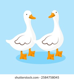 A vector illustration of cute two white ducks standing on a soft blue background. 
