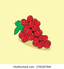 Vector illustration of a cute and unique fruit, Grape