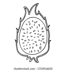  Vektorgrafik. Cute unbemalt eine halbe Pitaya einzeln auf weiß. Handgezeichnete, einfache Drachenfrucht-Doodle-Clipart-Kunst. Tropische Früchte im Sommer. Perfekt für Speisen, Poster, Essen-Banner.