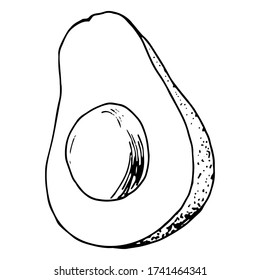 Vector illustration. Cute unpainted half an avocado isolated on white. Hand drawn simple doodle clipart. Useful vegetable. Perfect for menu, poster, food banner.