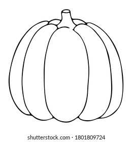 Vector illustration. Cute unpainted pumpkin isolated on white background. Hand drawn simple doodle clipart in a trendy minimalism style. Halloween theme. For menu, logo, food banner, cards, pattern.