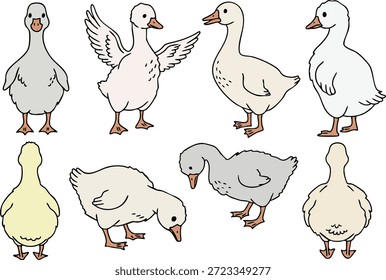 Ilustración vectorial de un lindo conjunto de ganso blanco y gris. Aves de granja dibujadas a mano en varias posiciones: de pie, caminando, comiendo y extendiendo alas. Hoja de personaje aislada sobre fondo blanco para libros infantiles, pegatinas y diseño de guardería.