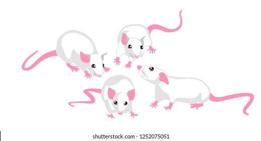 Vector illustration cute white rat in various poses.