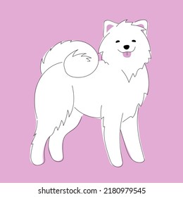 vector illustration with cute white smiling samoyed dog breed