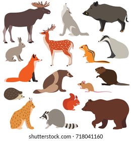 Dibujo vectorial de lindos animales de bosque aislados en fondo blanco, como zorro, liebre, lobo, alce, ardilla...