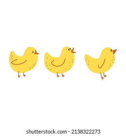 Vector illustration of cute yellow little chickens in cartoon doodle style