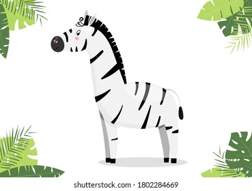 Vector illustration of cute zebra. African animal character