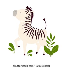Vector illustration of a cute zebra. Isolated on white background
