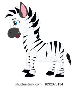 vector illustration of cute zebra for kids
