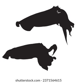 Vector Illustration of Cuttlefish Silhouette
