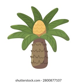Vector illustration of a cycad. Prehistoric tree. Ancient plant.