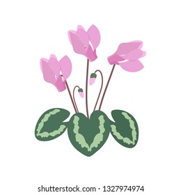 Vector illustration with cyclamen on a white isolated background. Template for postcard, cover, web design.