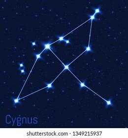 Vector illustration of Cygnus constellation. Astronomical Swan. Cluster of realistic stars in the dark blue starry sky.