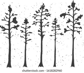 Vector illustration of cypress evergreen set. Simple stencil forest pine trees, winter cedar forest wood nature, snowy weather. Vintage hand drawn style.