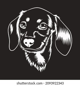 Vector illustration of a Dachshund dog. Black white illustration of a dachshund dog