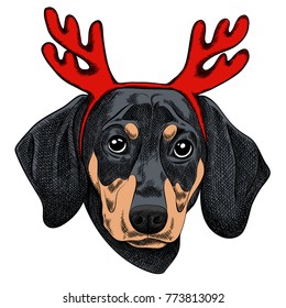 Vector illustration of a Dachshund dog for a Christmas card. Dachshund with red horns of reindeer. Merry Christmas in the year of the dog. New Year's Eve 2018