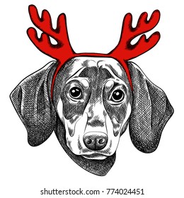 Vector illustration of a Dachshund dog for a Christmas card. Dachshund with red horns of reindeer. Merry Christmas in the year of the dog. New Year's Eve 2018