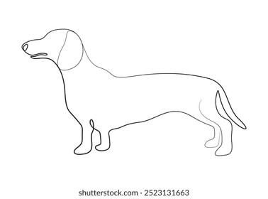 Vector illustration of dachshund dog continuous one line drawing