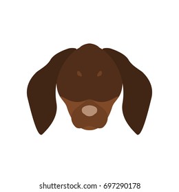 Vector illustration of dachshund dog head. Isolated on white background.