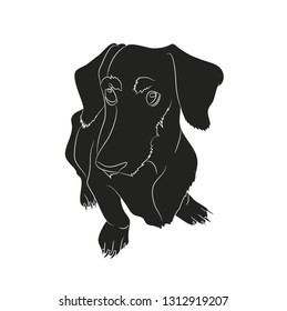 Vector illustration of a dachshund that sits. silhouette. vector, white background.