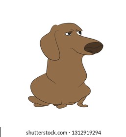 Vector illustration of a dachshund that sits. colored drawing, vector. white background.