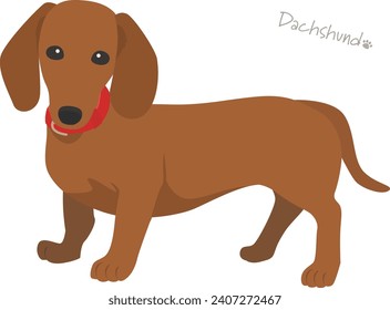 Vector illustration of dachshund tread