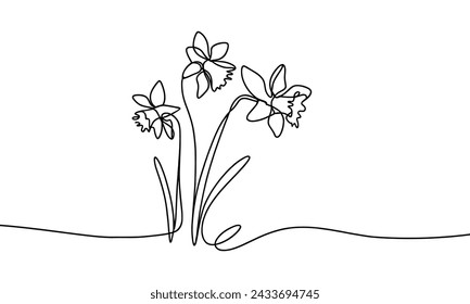 Vector illustration of a daffodil flower, in a linear style.