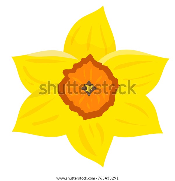 Vector Illustration Daffodil Known Daffadowndilly Narcissus Stock ...