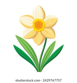 Image vectorielle de la jonquille d'illustration sur blanc