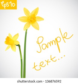 Vector illustration of daffodils svg