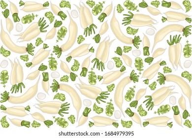 vector illustration of daikon and leaf design isolated background white EPS10