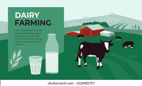 Vector illustration for dairy farming with cow in pasture. Design with landscape, livestock and bottle of milk for agricultural company. Template for banner, poster, flyer, annual report, web page, ad