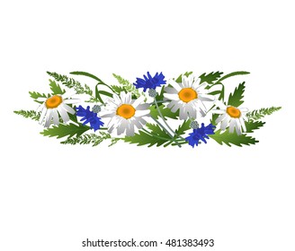 Vector Illustration. Daisies and cornflowers with leaves and spica.