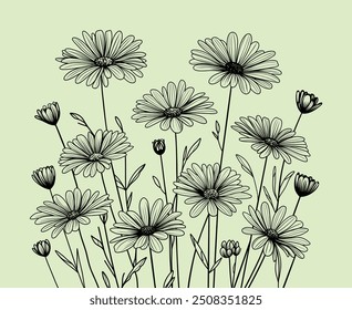 Ilustración vectorial de líneas de margaritas sobre un fondo verde pastel. El diseño minimalista captura los delicados detalles de las flores, perfecto para temas botánicos, Fondos de pantalla y proyectos decorativos.