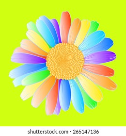 Vector illustration with daisiy flowers on yellow-green background.