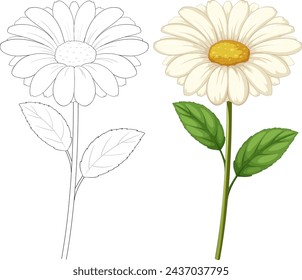 Vector illustration of a daisy, colored and outlined.