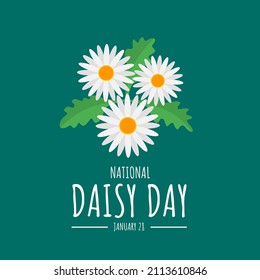 Vector illustration, daisy flower isolated on green background, as a banner, poster or template, National Daisy Day.