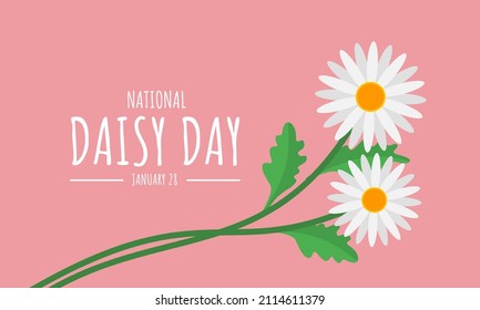 Vector illustration, daisy flower isolated on pink background, as banner, poster or template, valentine's day and National Daisy Day.
