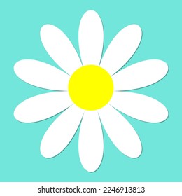Ilustración vectorial flores de margarita fondo verde de primavera,Hermosa flor de camomila aislada