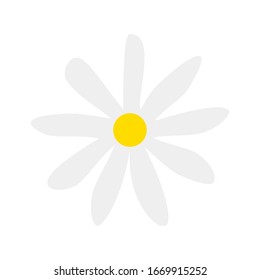 Ilustración vectorial de la margarita. 
Icono de С hamomile. Icono de margarita. Flor portadora. Chamomile.