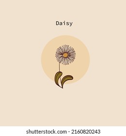 vector illustration of a daisy in a simple hand-drawn style